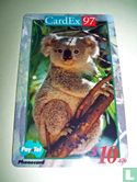 CardEx '97 Koala - Afbeelding 1