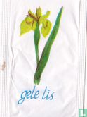 Gele Lis - Afbeelding 1
