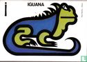 Iguana - Image 1