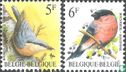 Oiseaux   - Image 1