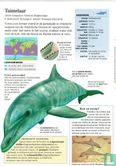 Dieren: Dolfijnen - Image 2