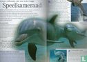 Dieren: Dolfijnen - Image 3