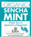 Sencha Ginger Mint - Afbeelding 1