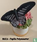 Vlinder - Papilio Polymnestor - Image 2