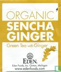 Sencha Ginger - Image 1