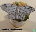 Vlinder - Idea Leuconoe