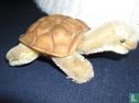 Slo het Schildpad - Afbeelding 2