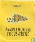 Pamplemousse - Fucus - Frene - Image 3