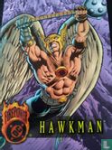 Hawkman - Afbeelding 1