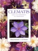 Clematis - Bild 1