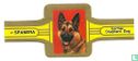 German Shepherd dog - Image 1