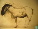 Cavallo - Image 1