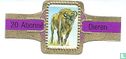 [Bison] - Bild 1