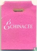 Echinacea - Afbeelding 3