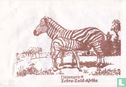Zebra-Zuid-Afrika - Afbeelding 1