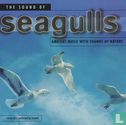 The Sound Of Seagulls - Image 1