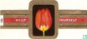 Single early tulip - Generaal de Wet - Afbeelding 1