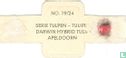 Darwin Hybrid Tulpe-Apeldoorn - Bild 2