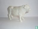 Stier - Afbeelding 1