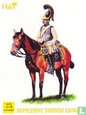 Schwedische Kavallerie - Bild 1