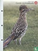 Großer Kuckuck - Bild 1