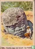Enorme kop van basalt (La Venta) - Image 1