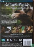 Radio Gibbon - Bild 2
