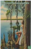 Study in Knees at Cypress Gardens in Beautiful Florida  159 - Image 1
