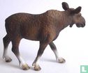 Moose Cow - Image 2