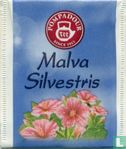 Malva Silvestris  - Afbeelding 1