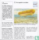 Zeevaart en Luchtvaart: Wat is een zeppelin ? - Image 2