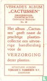 Oranjeroode - Toortscactus - Afbeelding 2