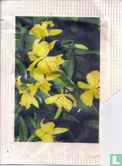 Orchideeën serie