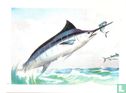 Gestreepte Marlin. - Afbeelding 1