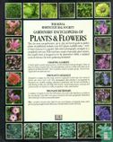 The Royal Horticultural Society Gardners' Encyclopedia of plants & flowers - Afbeelding 2