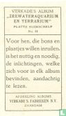 Platte Slijkschelp