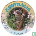 Australien-Koala - Bild 1