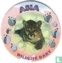 Asia - Wildlife Baby - Afbeelding 1