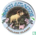 Süd-Atlantik-Falkland-Inseln - Bild 1