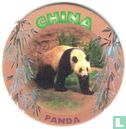 China - Panda - Afbeelding 1