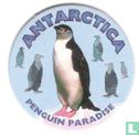 Antarctique-pingouin Paradise - Image 1