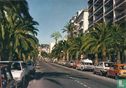 Hyères-les-Palmiers, Avenue Gambetta - Afbeelding 1