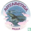 Antarctica - Whale - Afbeelding 1