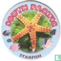 South Pacific-Seestern - Bild 1