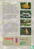 Op zoek naar vlinders in het Groene Woud - De Geelders - Bild 2