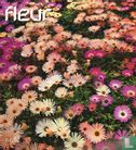 Fleur 52 - Image 1