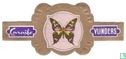 [Papilio Weiskei - New Guinea] - Image 1