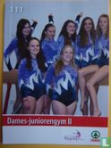 Groepsfoto Dames-juniorengym II (links) - Image 1