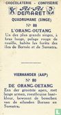 De Oerang-Oetang - Bild 2