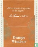 Orange Windsor  - Afbeelding 2